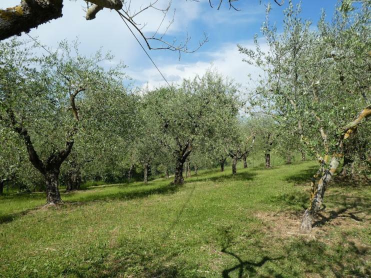 Casa Giuliana Daire Chiusi Dış mekan fotoğraf