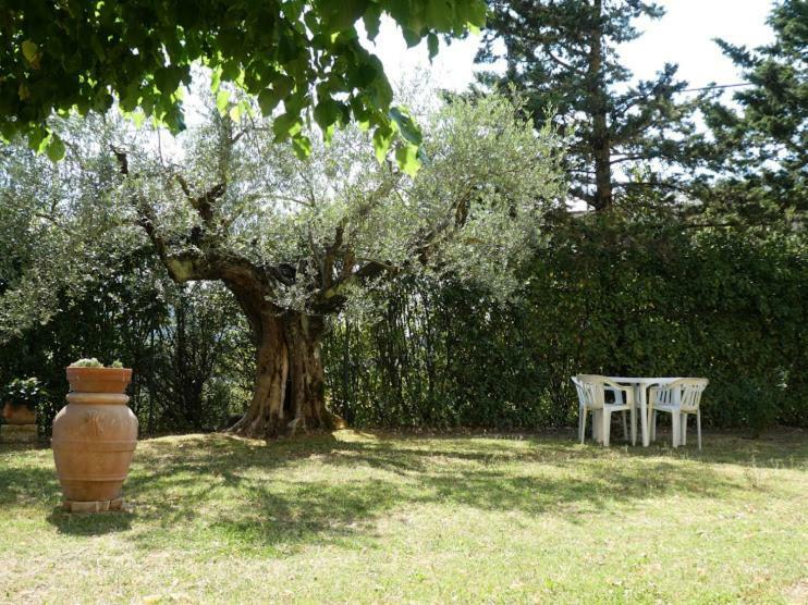 Casa Giuliana Daire Chiusi Dış mekan fotoğraf